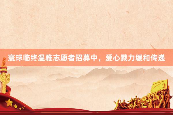 寰球临终温雅志愿者招募中，爱心戮力缓和传递